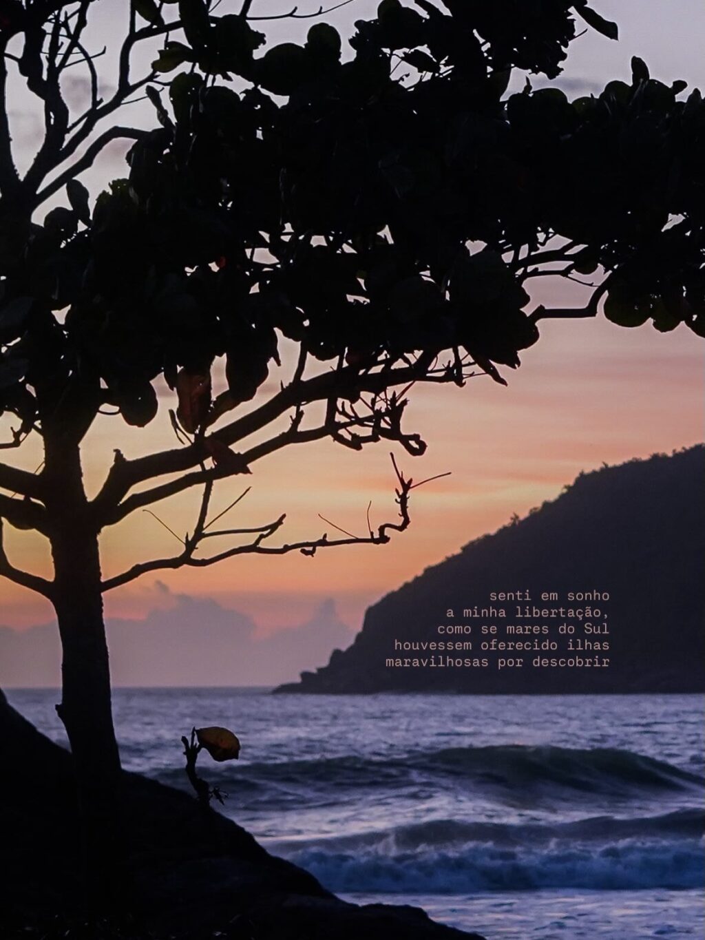 Instagram post from seaoncolors. This post is in position 4.