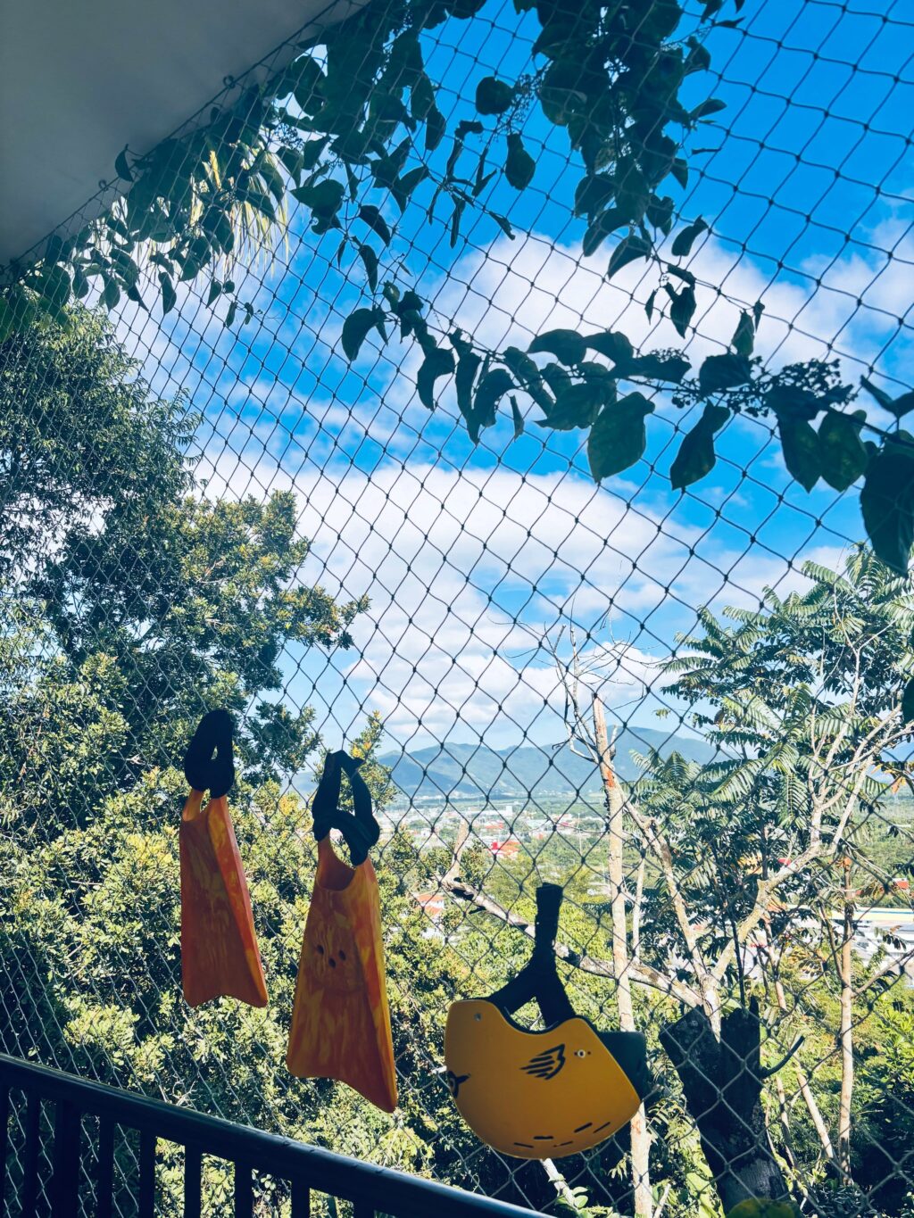 Instagram post from seaoncolors. This post is in position 7.